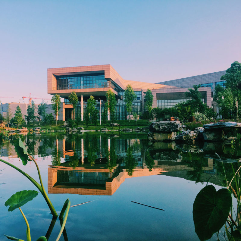 greenhand_teichpflege_1500x1500